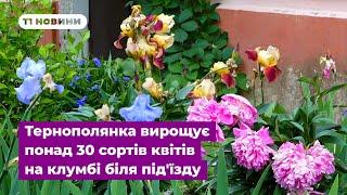 Квітковий рай: 76-річна тернополянка вирощує понад 30 сортів квітів на клумбі біля під'їзду