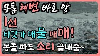 [추천 매물] 동해 몽돌 해변가 바닷가땅 매매 바닷가 집터 매매 바닷가 토지 급매 바닷가토지 매물 경북 바닷가 매매