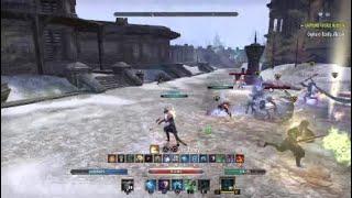 eso warden mag pvp *