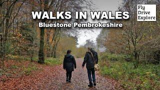 There’s History Everywhere! - Walking The Pembrokeshire Countryside, West Wales