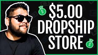 The $5 Shopify Dropship Store (POD, Private Label, & More)