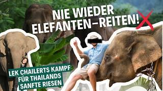 Die Elefantenflüsterin: So kämpft Lek Chailert für Thailands sanfte Riesen 