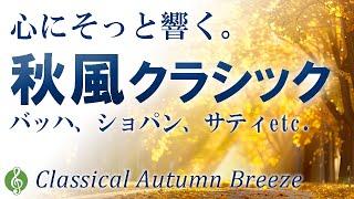 【秋を感じる名曲15選】心が震えるノスタルジックで美しく、そして切ない。時を超えて愛されるクラシック傑作メドレー【リラックスBGM】【作業用音楽】Autumn Classical Music