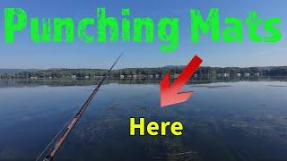 Bass fishing in the grass on Lake Guntersville