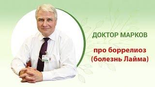 Укус клеща. Болезнь Лайма или Боррелиоз #Боррелиоз