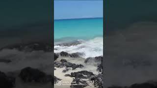 this is Paradise  on   Blue Ocean,white sand beach,tropical island, sunshine #shorts #travelvideo