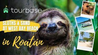 Roatán Tourbase - Sloths & Sand at West Bay Beach