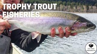 Finding Success on TROPHY Trout Fisheries