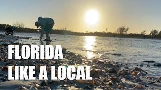 Southwest Florida beach tour. Let a local show you around a Florida Island and all it's treasures!