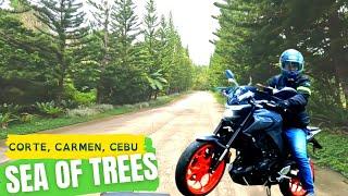 Motorcycling in CARMEN WOODLANDS going to PH largest Zoological Park Ep. 1