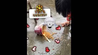 Part 33 | The last one ️ #trollface #edit #troll