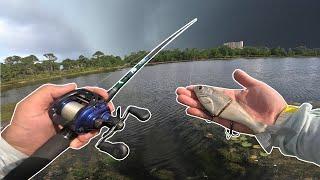 Fishing STORM DRAINS with GLIDE BAITS in FLORIDA PONDS before HURRICANE Debby!