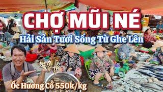 Chợ Mũi Né , Ốc Hương Cồ 550k/Kg