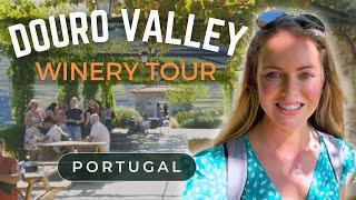 Douro Valley Winery Tour & River Cruise | BEST Day Trip and Ultimate Guide from Porto, Portugal