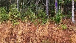 Homes for Sale - 221 Becton Rd, Havelock, NC