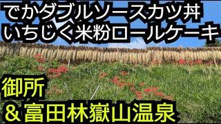 200gソースカツ丼＆絶景の激安温泉 いちじく入り米粉ロールケーキ【奈良 御所市千早赤阪村富田林市】