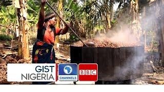 How Palm Oil Production Is Helping One Family In Abia State Nigeria