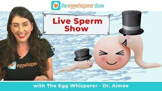 Live Sperm Show (See Sperm Under a Microscope!)