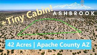 Northern Arizona Land for Sale | 42 Acre Ranch with Tiny Cabin and BLM Land Bordering 2 Sides