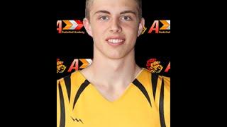 Carl Alenfall (SG) Global Squad 2014 Scouting Report