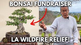 Bonsai for a Cause: Support LA Wildfire Relief Today