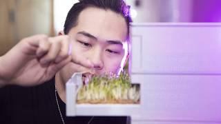 Microgreens to the rescue: How a NAIT's student's invention could help address carbon emissions