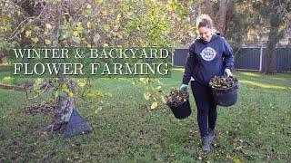 A Week in My Backyard Flower Farm  Winter Jobs to Prep For Spring | Garden With Me