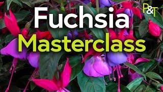 Fuchsia Masterclass (potting, pruning, cuttings, hardiness) - Pots & Trowels