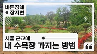 10평만 땅을 사서 수목장을 만들 수 있나요? [ 경기도 여주 수목장 조성, 금액 및 장단점 ]