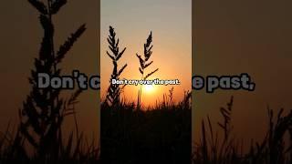 Don't Cry Over The Past #inspirationalquotes #motivation #youtubeshorts