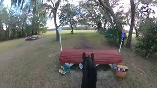 GoPro: Capo dei Capi (Open Modified | 2024 Rocking Horse Winter I Horse Trials)