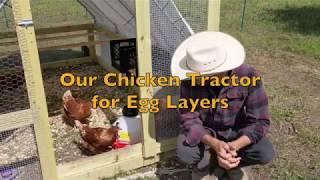 Chicken Tractor for Our Egg Layers - DIY Stress Free