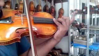 Violino Demonstrativo