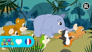 LES ANIMAUX DU ZOO | Chansons pour Enfants | Minidisco