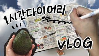 {Vlog} 1시간 다이어리 쓰고 아보카도로 쌩쇼하는 이상한 브이로그