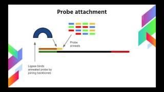 Next Gen SOLiD DNA Sequencing Method Explained