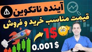 تحلیل تخصصی آینده قیمت ناتکوین : ناتکوین 1 دلاری چقدر به واقعیت نزدیکه؟