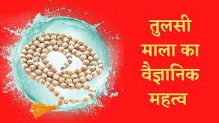 तुलसी माला धारण करने के वैज्ञानिक फायदे l Scientific benefits of wearing Tulsi Mala I Tulsi Puja