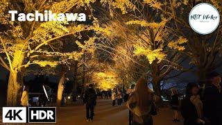 Experience TOKYO'S Hidden Gem Showa Memorial Park at Night in 4K HDR!