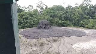 Rare mud volcano erupts spewing sludge onto surrounding grass