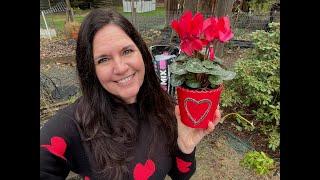 Best Valentine's Day Plants | Pond House Garden