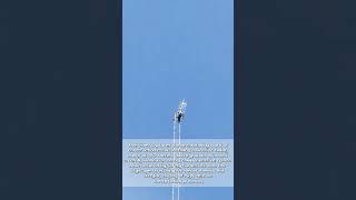 Sky High Precision: Installing a Time Tower at 160 Meters!