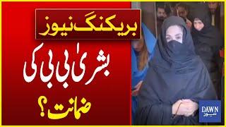 Toshakhana Case: Latest Updates on Hearing of Bushra Bibi Bail Request | Breaking News | Dawn News