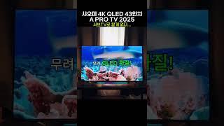 QLED인데 이 가격?! 샤오미 4K QLED 스마트 디스플레이 A Pro TV 가격이 말이 안된다니까~