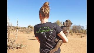 Wildlife volunteering at the Namibia Wildlife Sanctuary