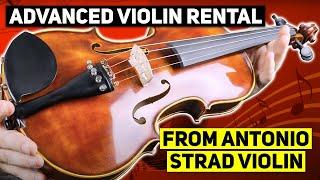 Advanced Violin Rental from Antonio Strad Violin