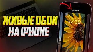 Как установить живые обои на iPhone? Лучший Способ (2023)