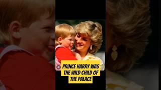 Prince Harry Was the Wild Child of the Palace  #princeharry  #harryandmeghan #meghan  #princelouis