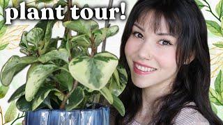 HOUSEPLANT TOUR | Meet My Plants! 