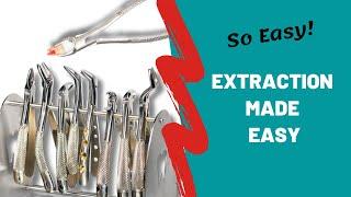 Extract A Tooth With Ease! Dental Forceps Explained